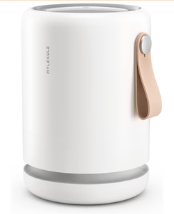 Molekule Purificador de aire Mini+
