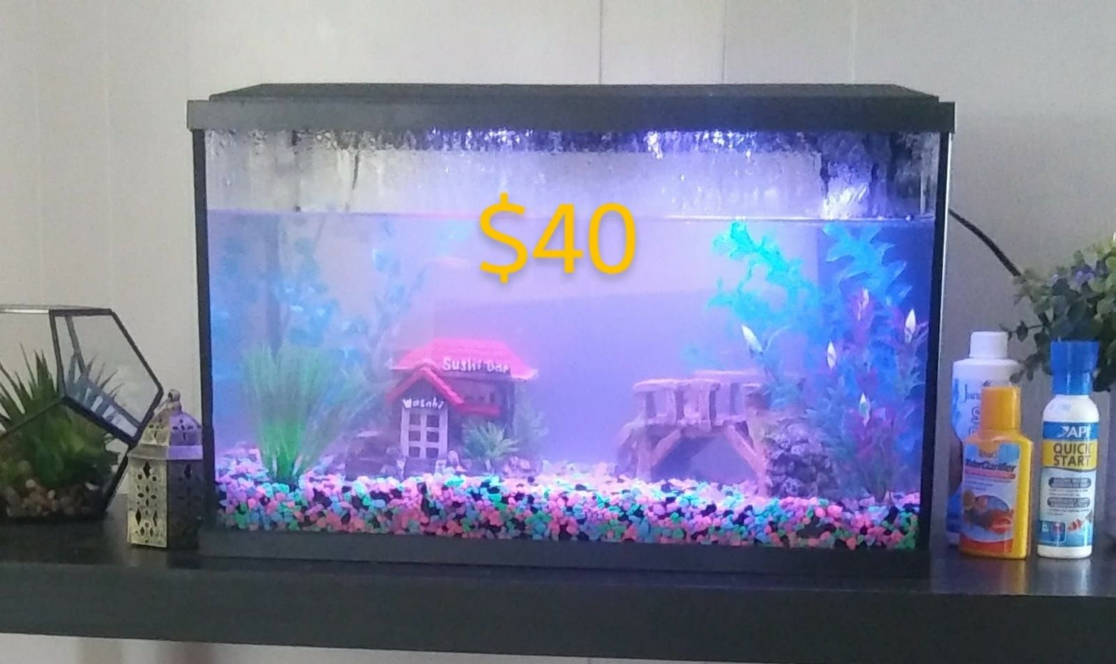 Fish Tank (Pecera)