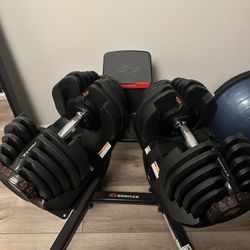 Bowflex 1090 Adjustable Dumbbells With Stand 