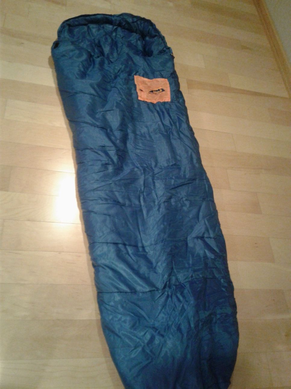Sleeping bag from REI