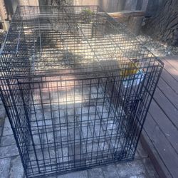 Dog crate XXL