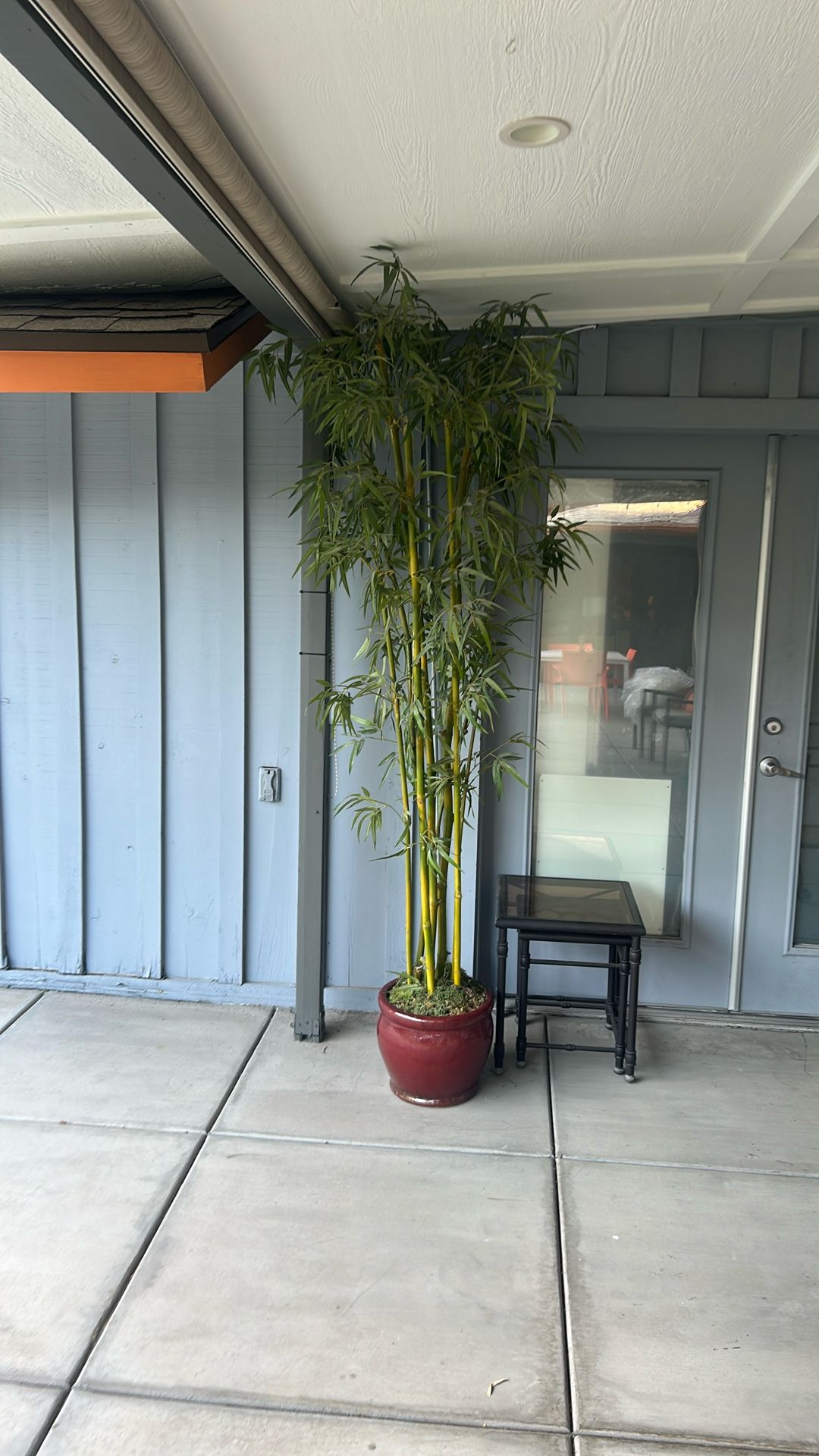 Artificial Bamboo Plant- 8 ft. Tall
