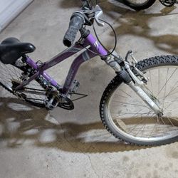 24" Girls Mountain Bike