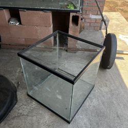 Fish Tanks
