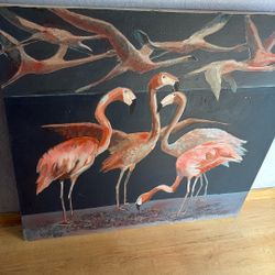 Flamingo  Painting 36x36”