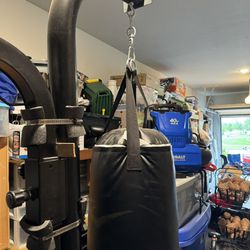 Everlast Punching Gym  Set