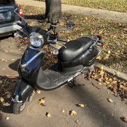 Lance Havana Classic 