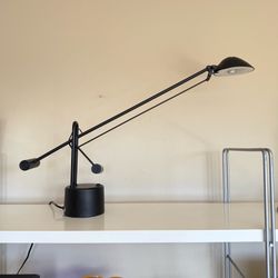 Modernist 1970s Crane Neck Table or Desk Lamp