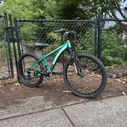 Kids Mountain Bike