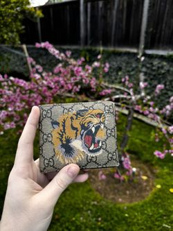 Gucci Wallet