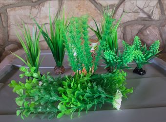 Aquarium Plants Bundle