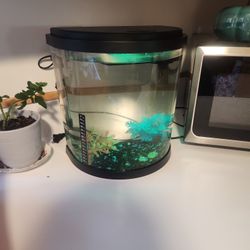 3 Gallon Fish Tank 