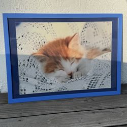 Kitty Kitten Cat Framed Poster Print Artwork 28.75”x21” (Silver Lake)