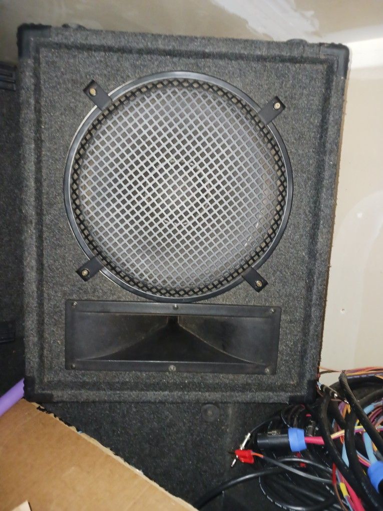 MONITORS/Peavy Blackwirow Stage Customs Monitors