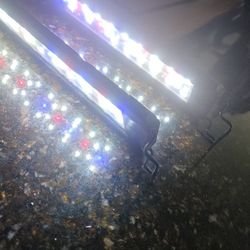  Aquarium Lights (2) 12"