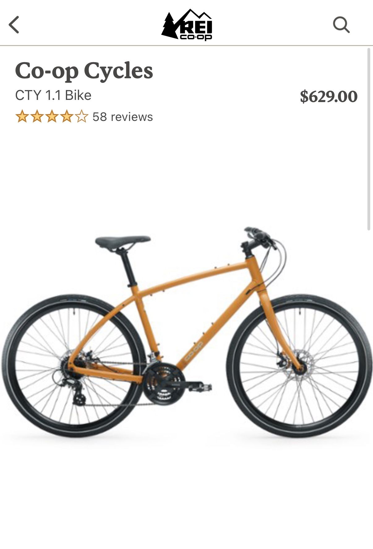 Hybrid Bicycle, REI Coop CTY 1.1 Bike