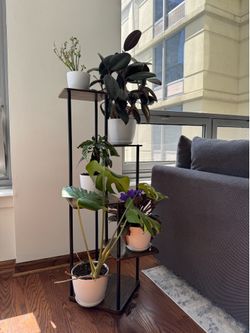 5-Tiered Plant Stand with Plants