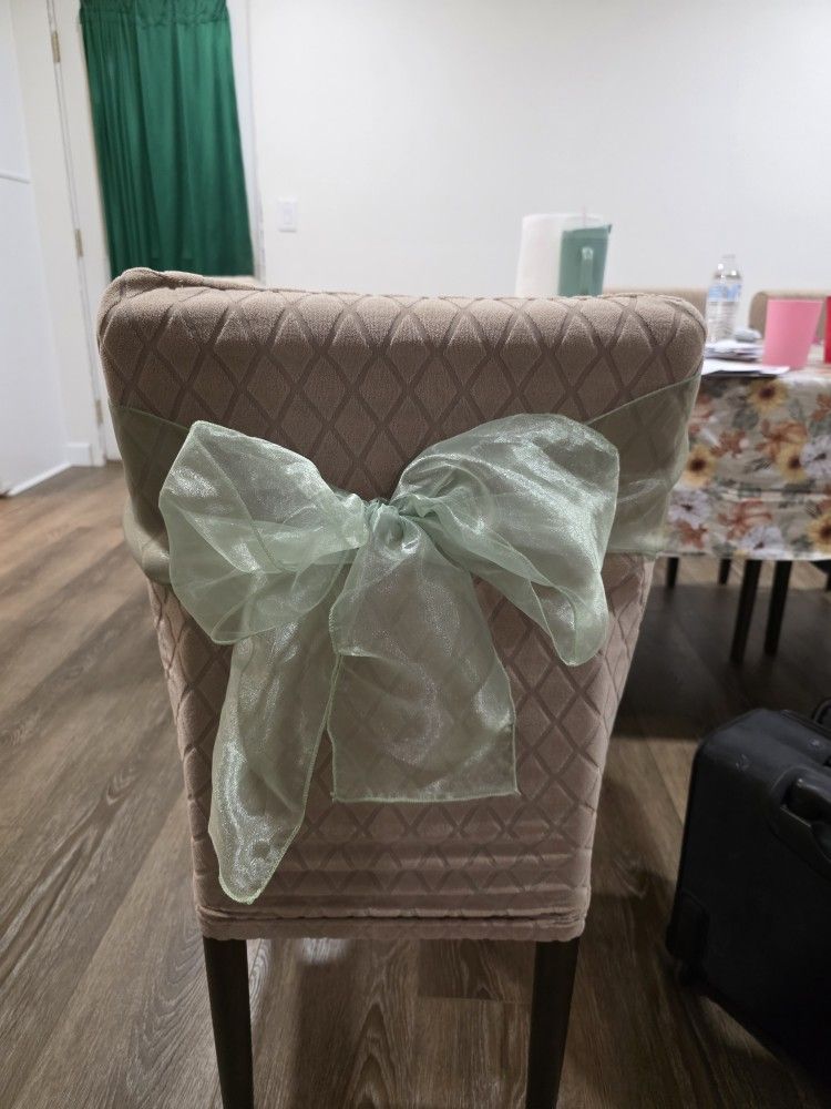 Sage Green Chair Sashes For All Events