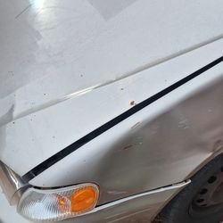 Toyota Corolla  Se Busca Fender Y Bonete