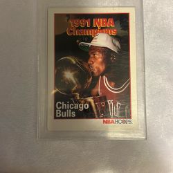 Michael Jordan Chicago Bulls championship