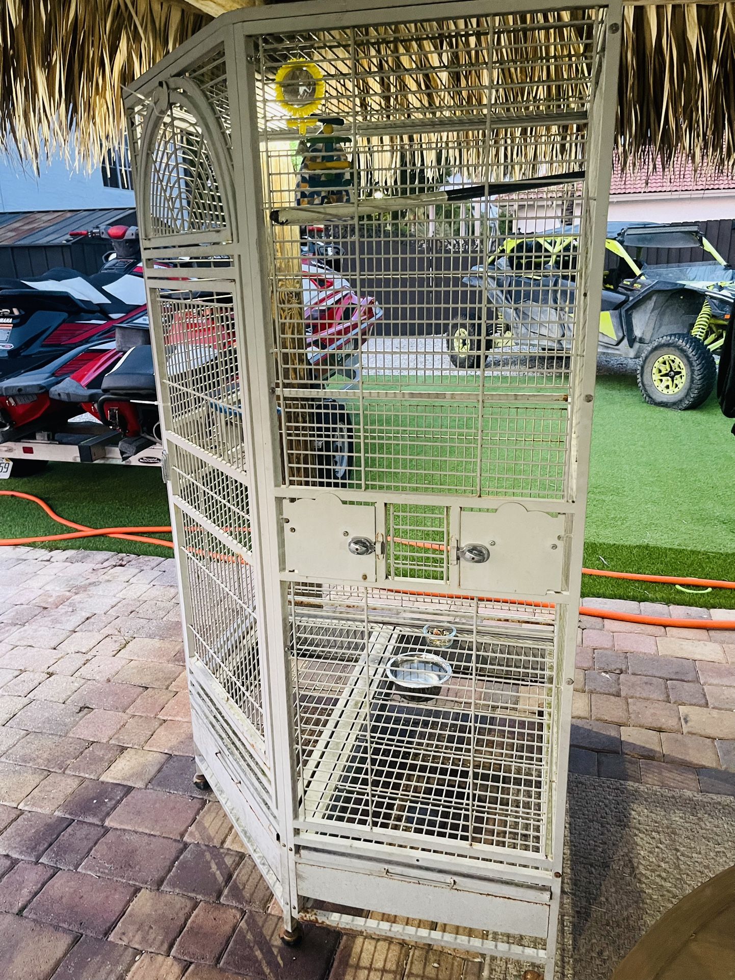 Large Bird Cage & Friendly Quaker bird