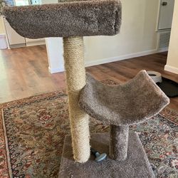 Cat Scratching Post