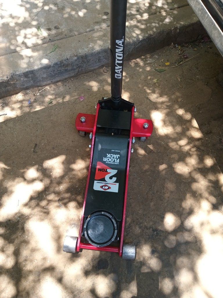Gato De Patin