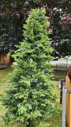 Lighted Christmas tree