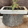 The Plant Stand.