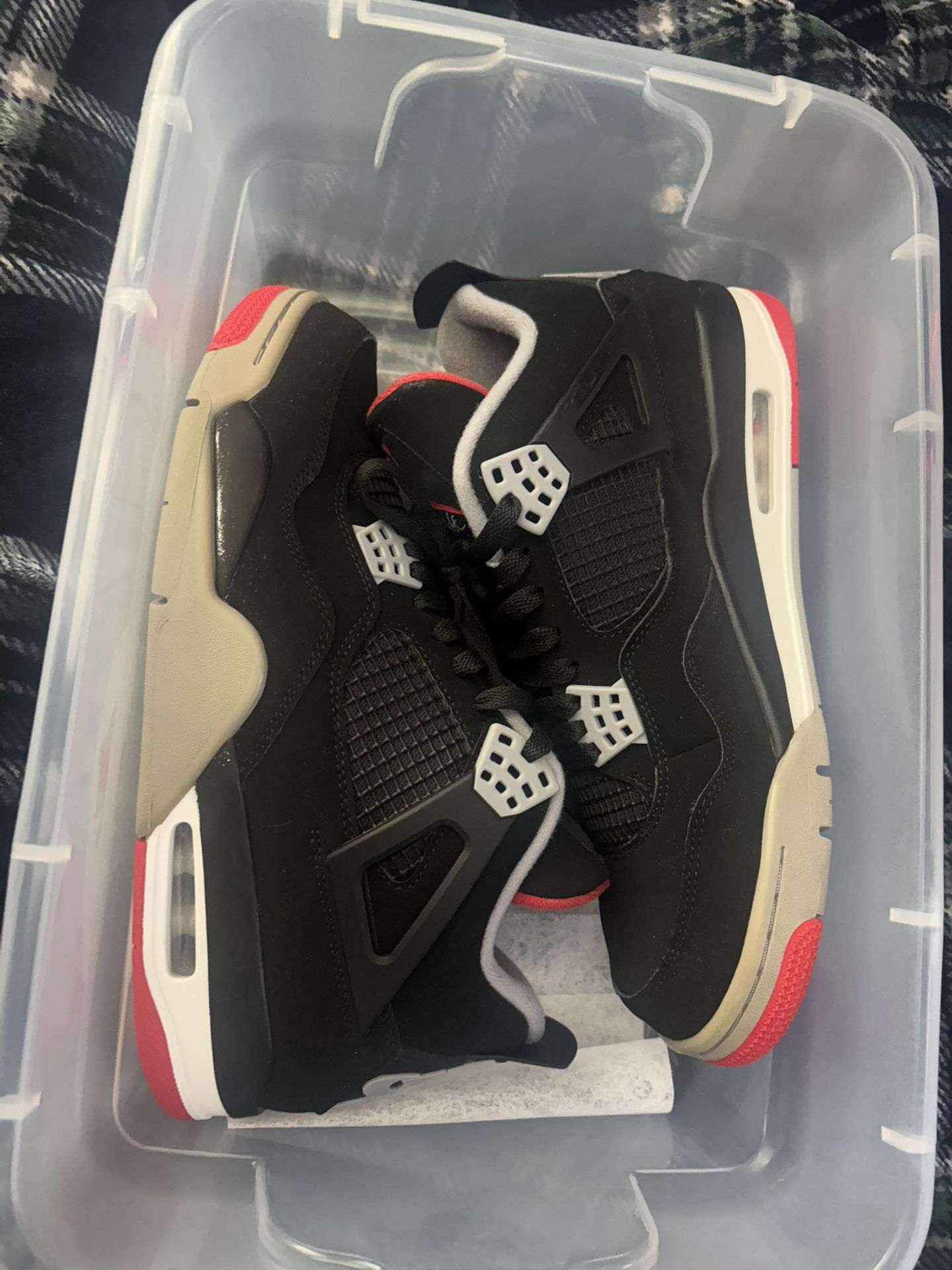 Jordan Bred 4s
