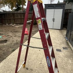 6ft Fiberglass Ladder
