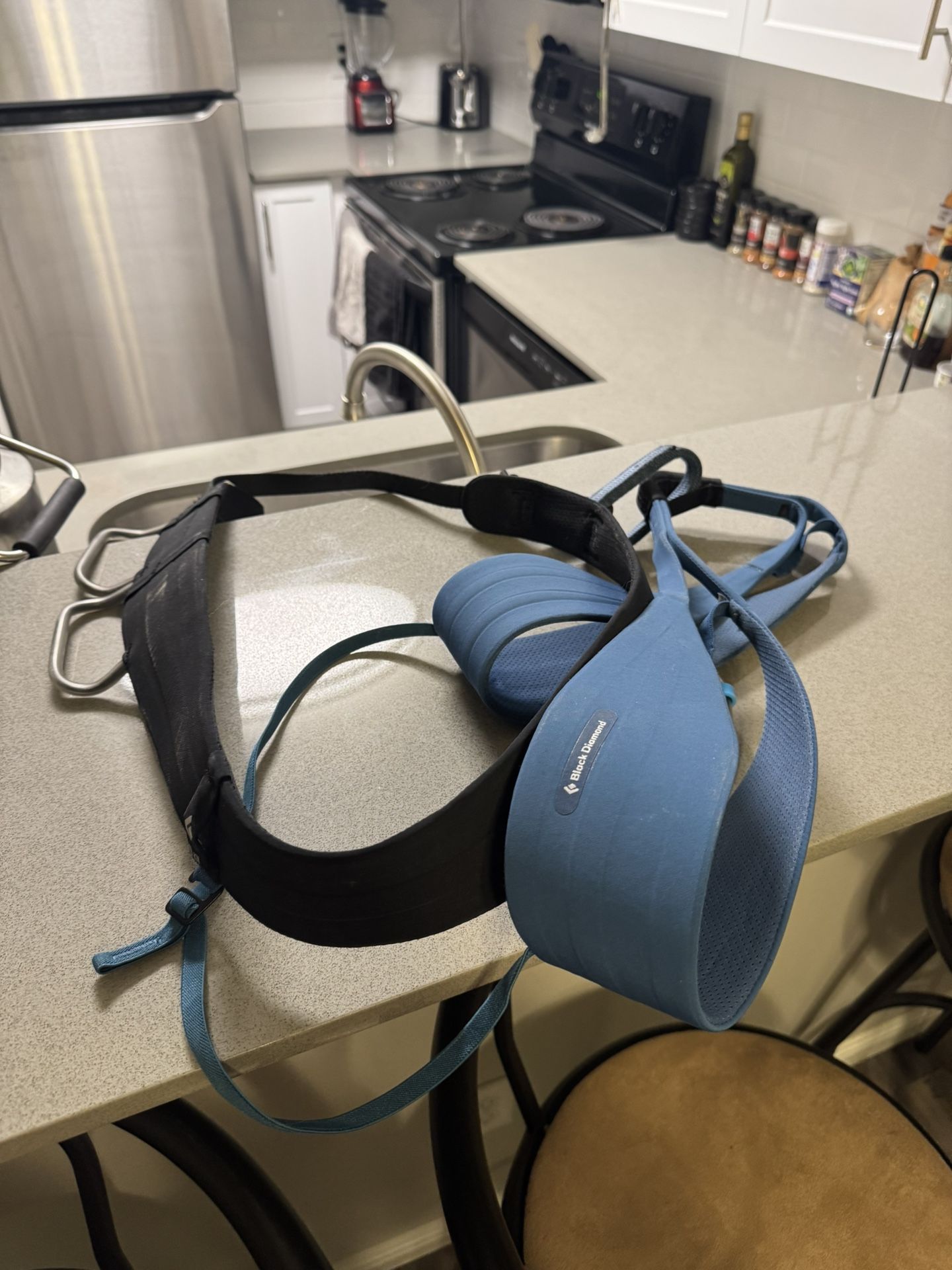 Climbing Harness