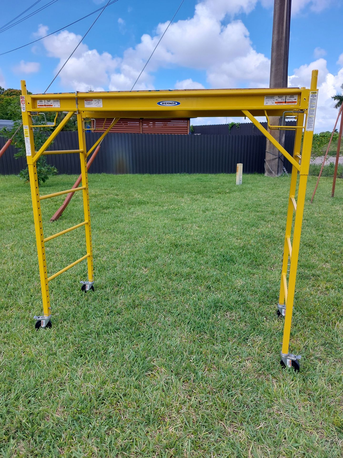 Werner scaffold
