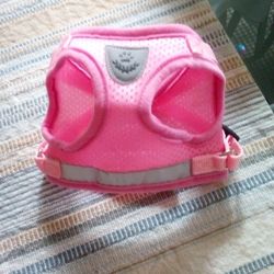 Cat Harness 