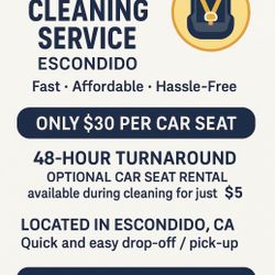 Nontoxic Car Seat Cleaning