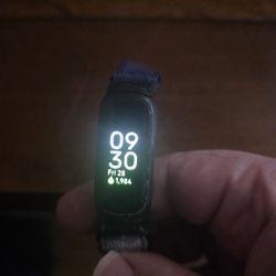 Fitbit 3