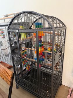 Bird cage