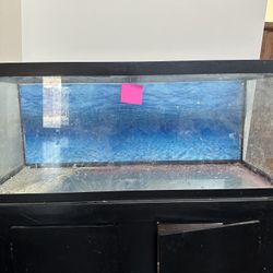 75 Gallon Fish Tank And Stand 