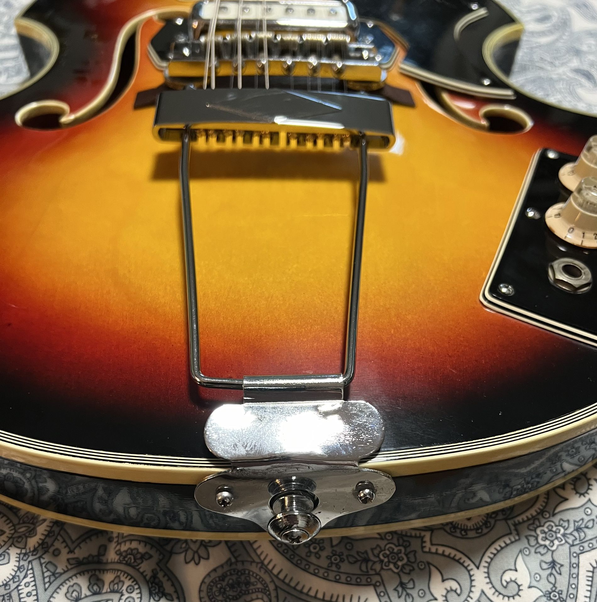 Bruno Royal Artist 12 String Hollow Body Guitar for Sale in Alhambra, CA OfferUp