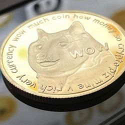 Dogecoin Collectable Souvenir Coin