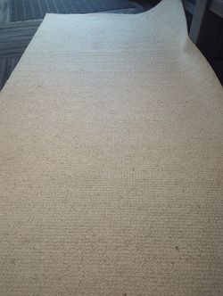 Tan Rug