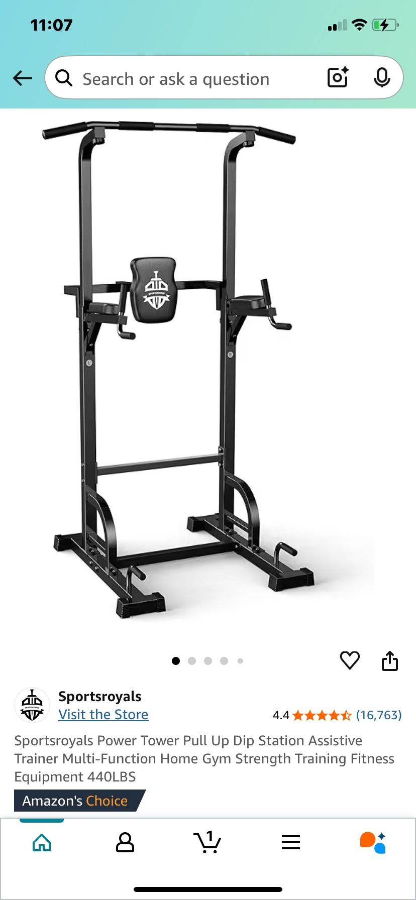 Pull Up Dip Station