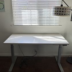 Modern Standing Desk