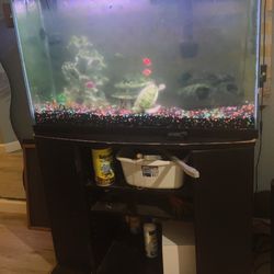 45-gallon aquarium
