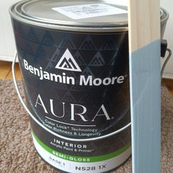 Benjamin Moore Paint Nimbus Gray 