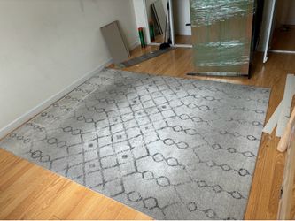 $10 - Large Boho Area Rug
