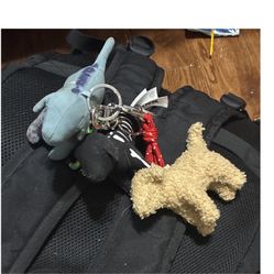 Victoria’s secret Dog-Shaped Cute Fabric Metal Key Chain Set for Women