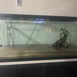 75 Gallon Tank