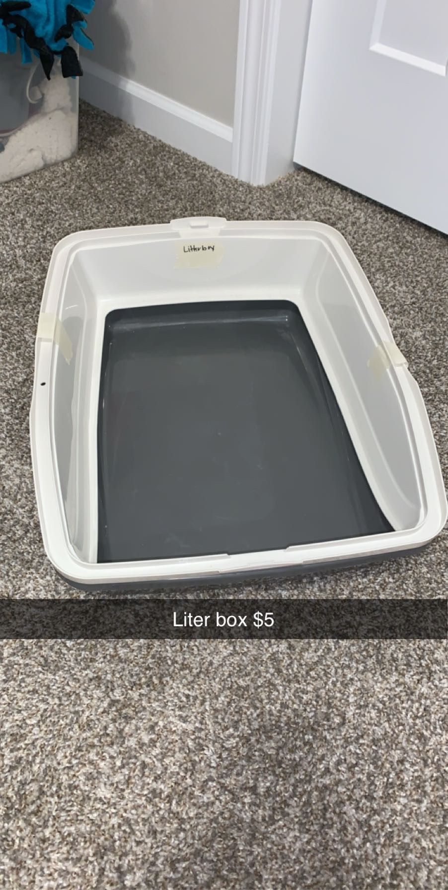 Litter box