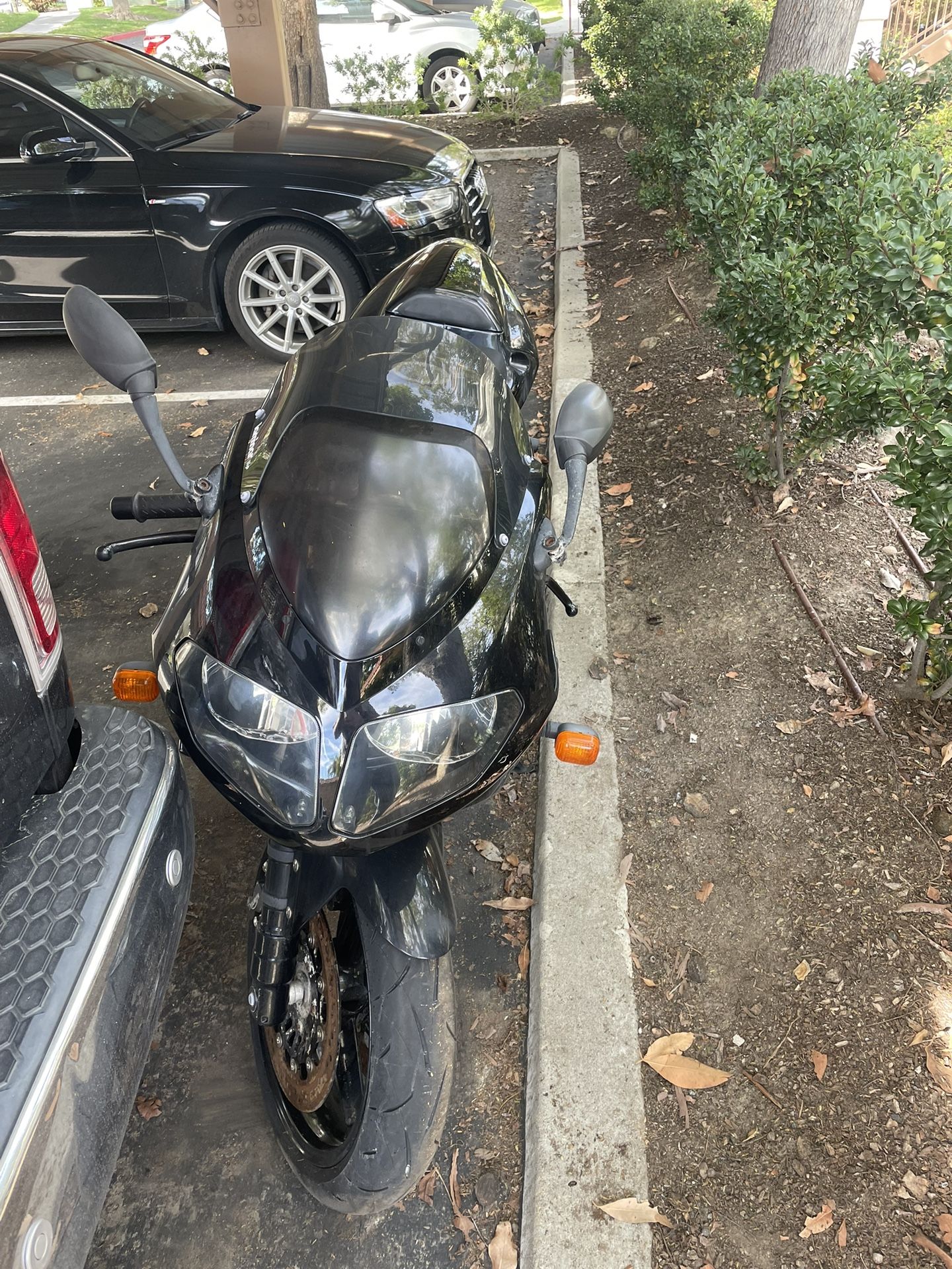 2005 Triumph Daytona 955i